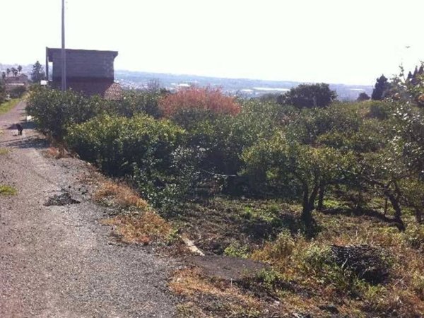terreno agricolo in vendita a Fiumefreddo di Sicilia