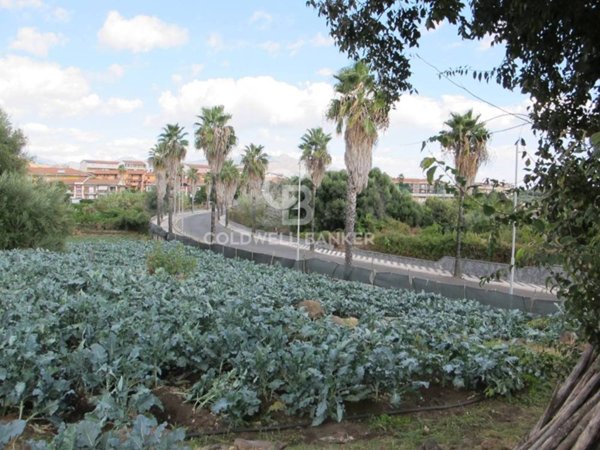 casa indipendente in vendita a Fiumefreddo di Sicilia