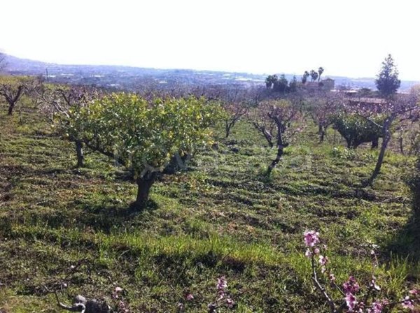 terreno agricolo in vendita a Fiumefreddo di Sicilia