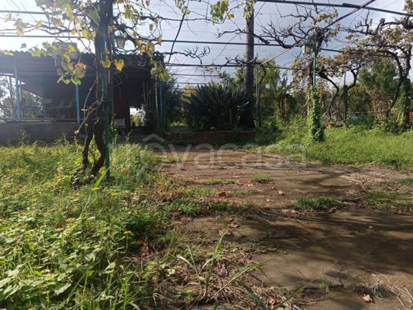 appartamento in vendita a Fiumefreddo di Sicilia