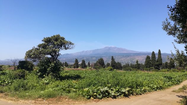 terreno agricolo in vendita a Fiumefreddo di Sicilia