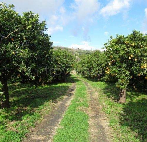 casa indipendente in vendita a Fiumefreddo di Sicilia in zona Feudogrande