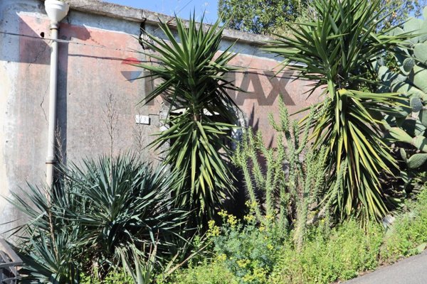 casa indipendente in vendita a Fiumefreddo di Sicilia in zona Civì