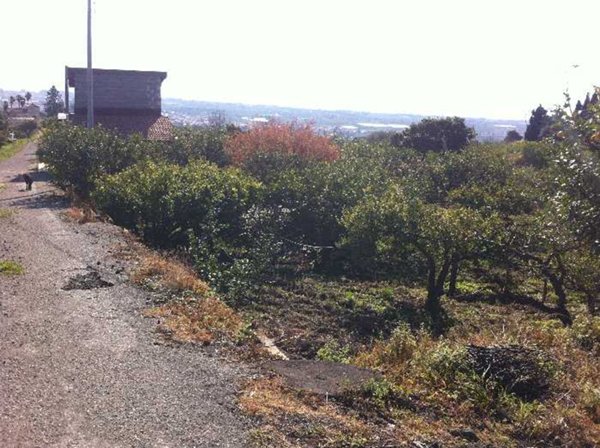 terreno agricolo in vendita a Fiumefreddo di Sicilia