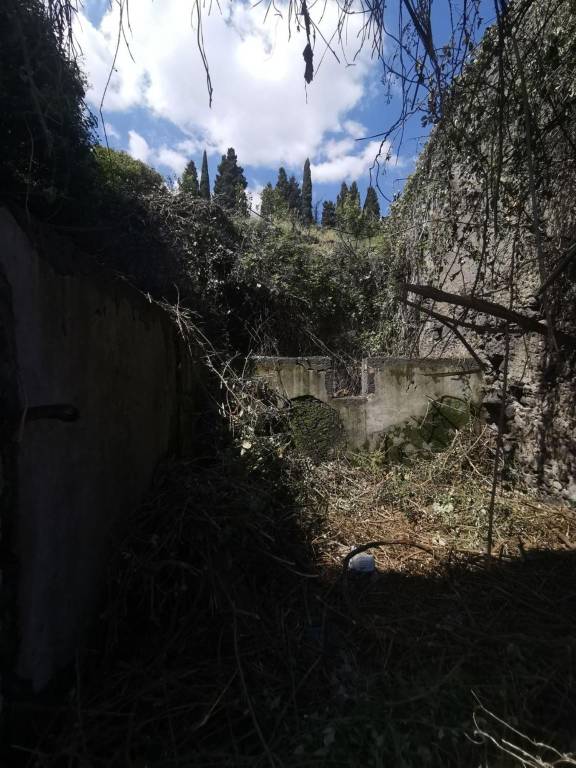 immagine annuncio 0 di 15