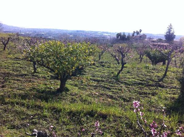 terreno in vendita a Fiumefreddo di Sicilia