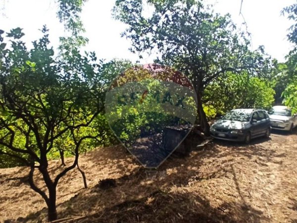 terreno agricolo in vendita a Giarre