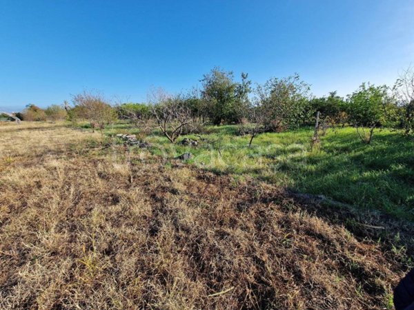 terreno agricolo in vendita a Giarre in zona San Leonardello