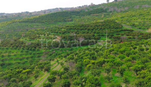 terreno agricolo in vendita a Giarre