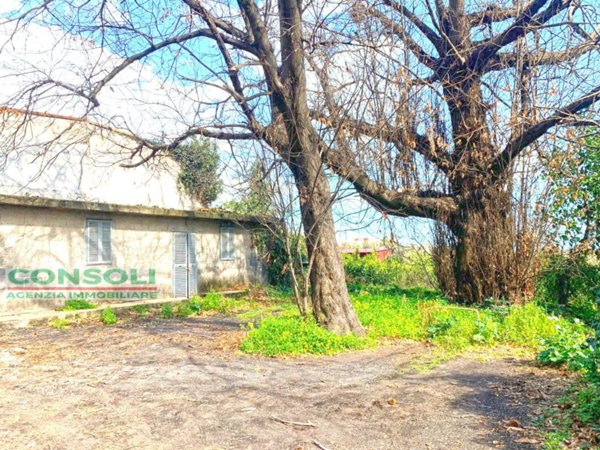 casa indipendente in vendita a Giarre in zona Macchia