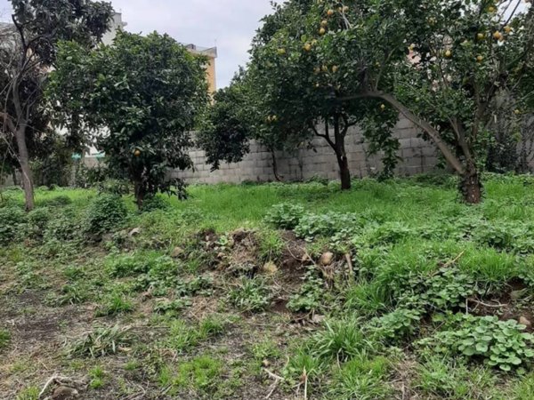 casa indipendente in vendita a Giarre