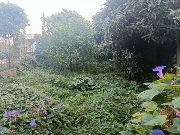 casa indipendente in vendita a Giarre
