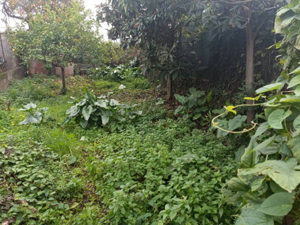 casa indipendente in vendita a Giarre