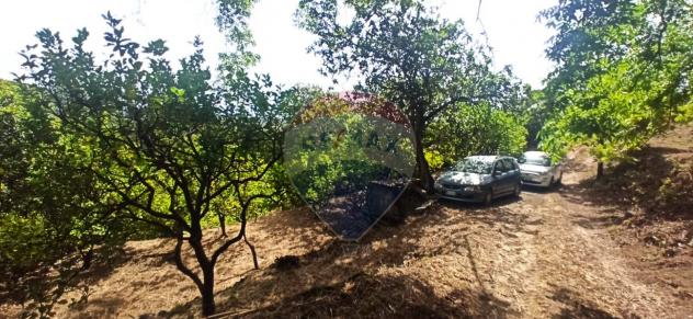 terreno agricolo in vendita a Giarre