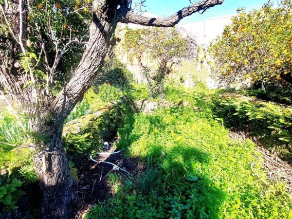 casa indipendente in vendita a Giarre in zona Macchia