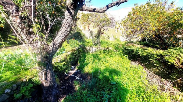 casa indipendente in vendita a Giarre in zona Macchia