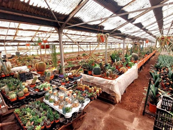 terreno agricolo in vendita a Giarre
