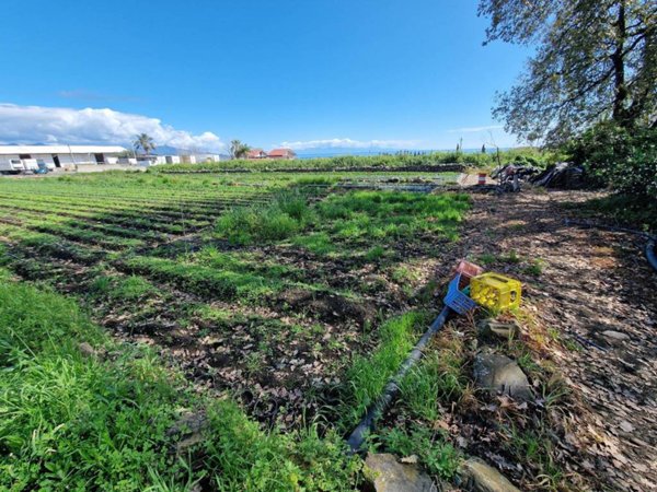 terreno agricolo in vendita a Giarre
