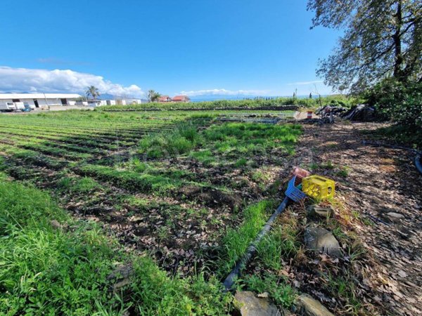 terreno agricolo in vendita a Giarre