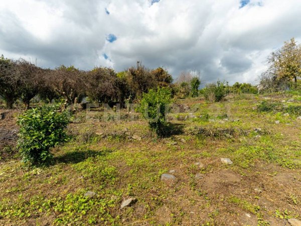 terreno agricolo in vendita a Giarre