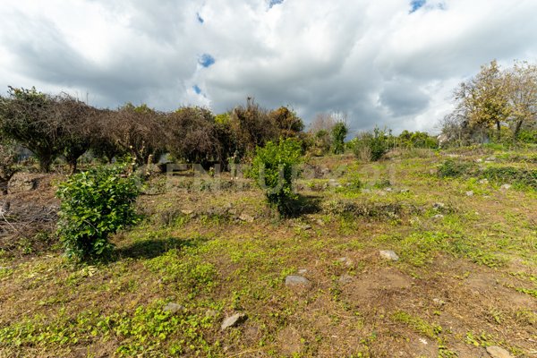 terreno agricolo in vendita a Giarre