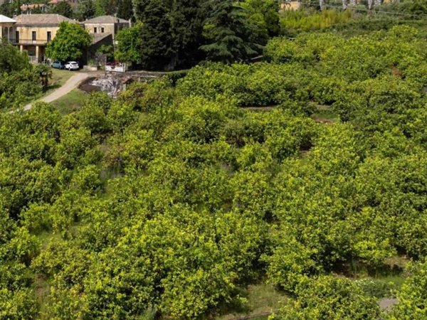 casa indipendente in vendita a Giarre