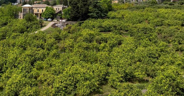 casale in vendita a Giarre