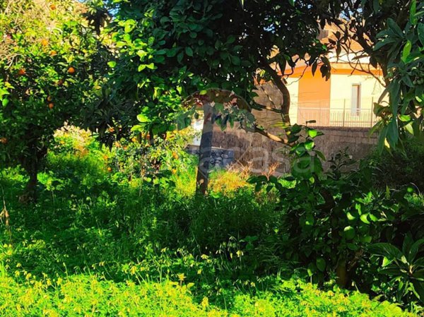 casa indipendente in vendita a Giarre