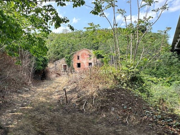 terreno agricolo in vendita a Giarre