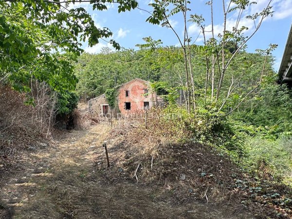 terreno agricolo in vendita a Giarre