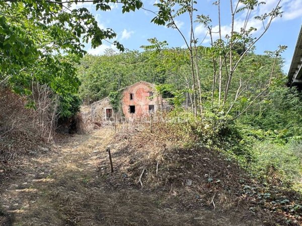 terreno agricolo in vendita a Giarre