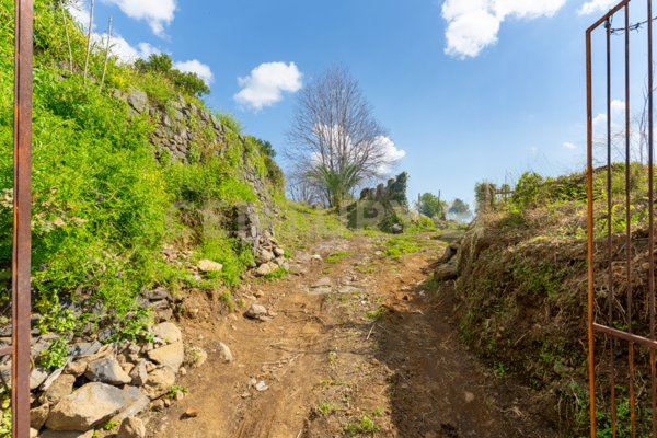 terreno agricolo in vendita a Giarre