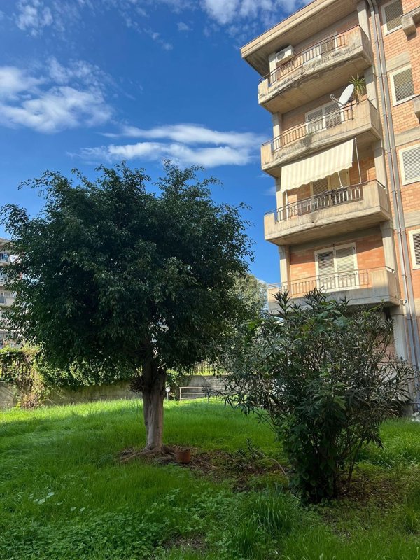appartamento in vendita a Giarre