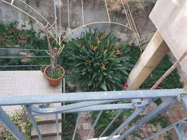 casa indipendente in vendita a Giarre