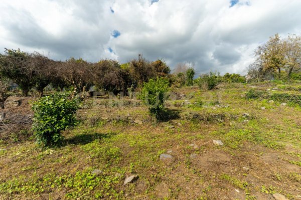 terreno agricolo in vendita a Giarre