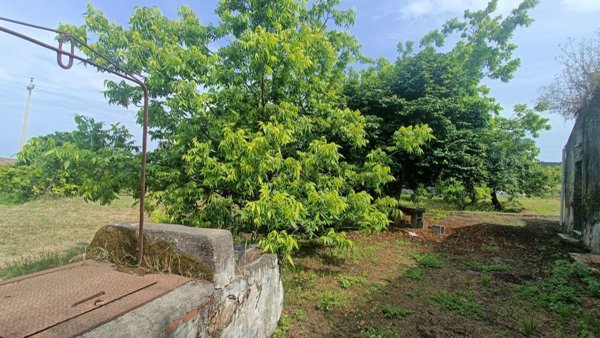 casa indipendente in vendita a Giarre