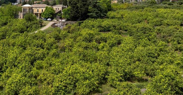 casa indipendente in vendita a Giarre