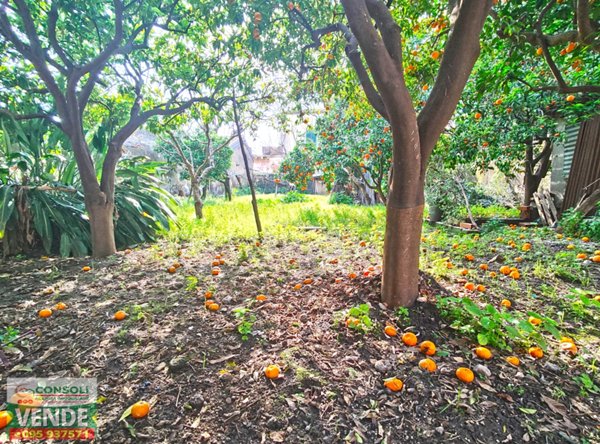 casa indipendente in vendita a Giarre