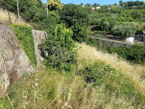 terreno agricolo in vendita a Giarre in zona San Giovanni Montebello