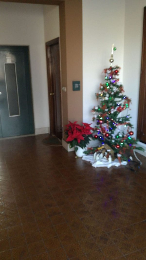 appartamento in vendita a Giarre