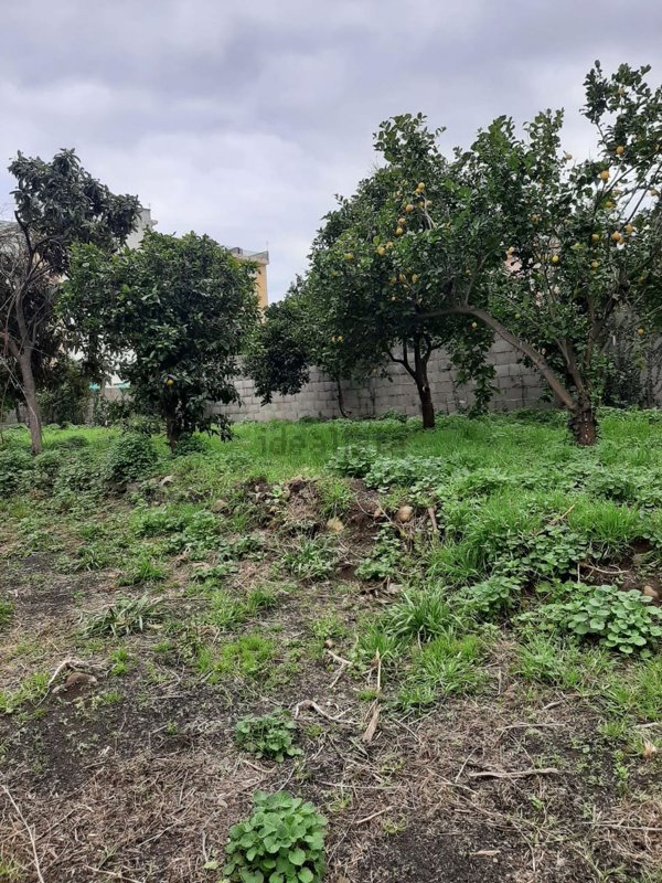 casa indipendente in vendita a Giarre