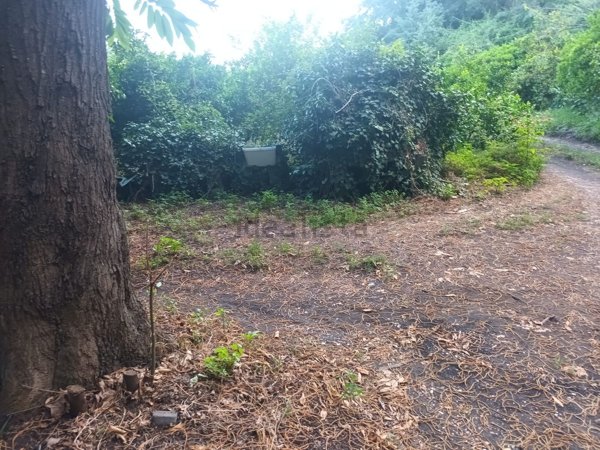 terreno agricolo in vendita a Giarre in zona Macchia