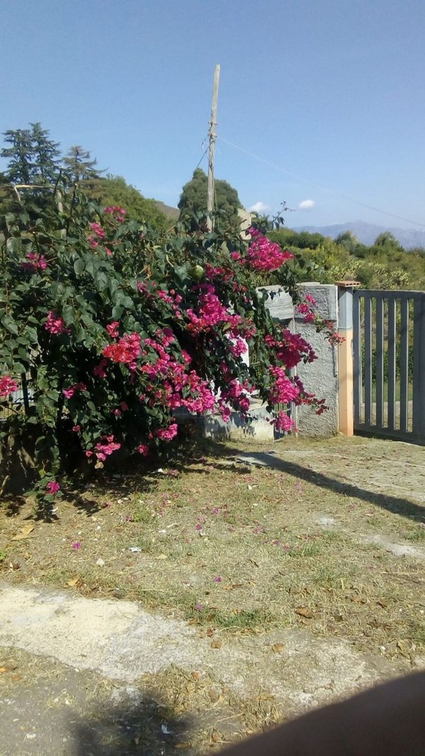 terreno agricolo in vendita a Giarre in zona San Giovanni Montebello