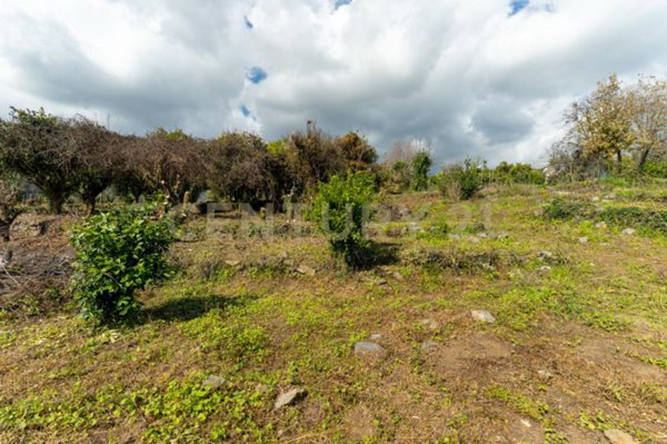terreno agricolo in vendita a Giarre