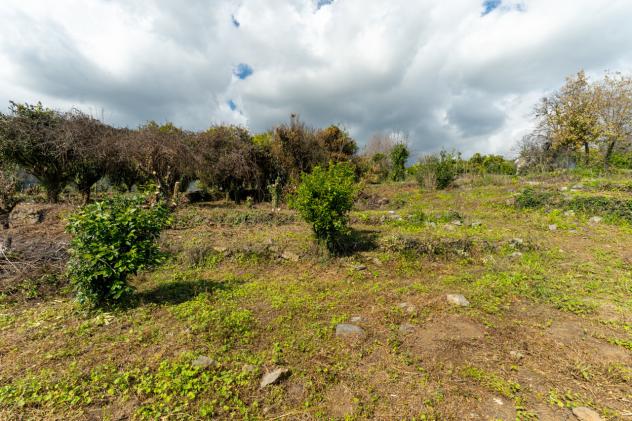 terreno agricolo in vendita a Giarre