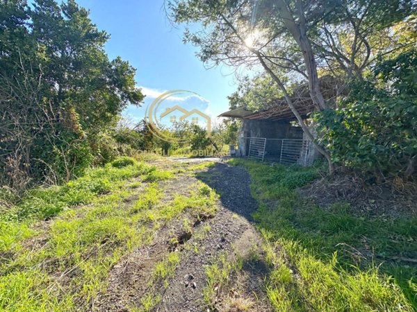 casa indipendente in vendita a Giarre in zona Macchia