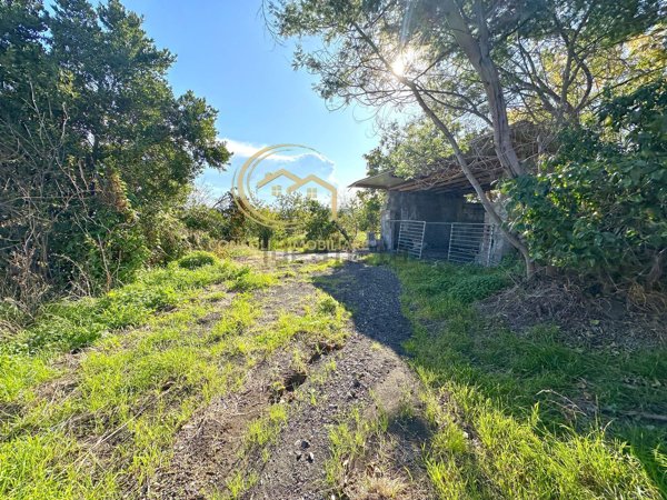 terreno agricolo in vendita a Giarre in zona Macchia