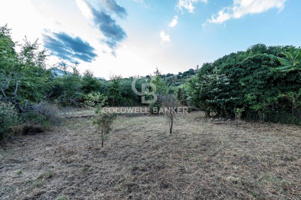 immagine annuncio 0 di 10