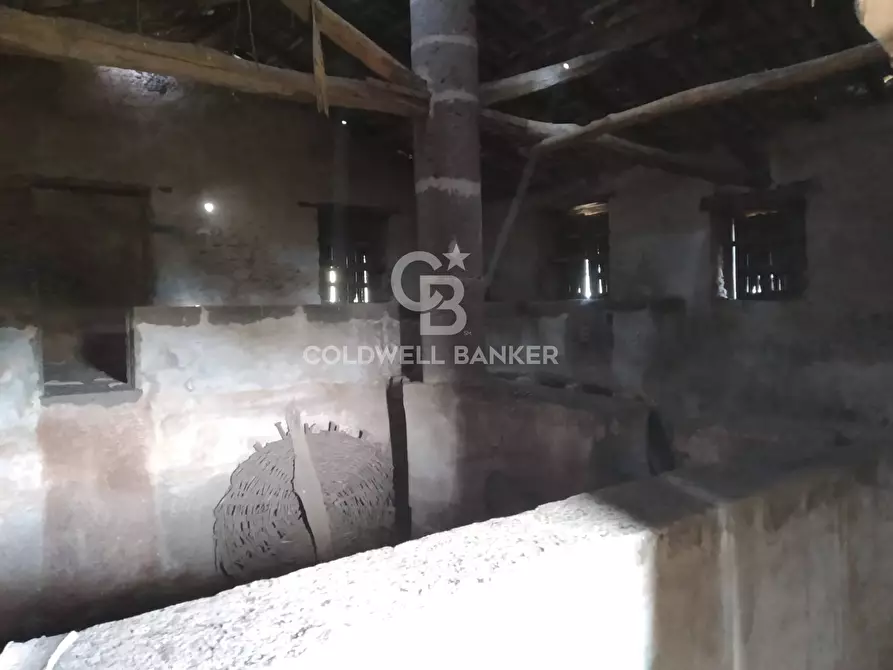 terreno agricolo in vendita a Giarre in zona San Giovanni Montebello