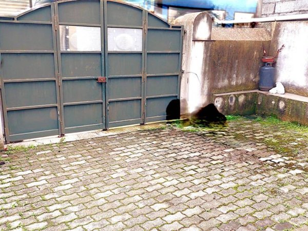 casa indipendente in vendita a Giarre